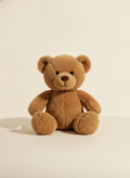 Soft Plush Teddy Bear