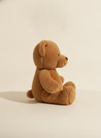 Soft Plush Teddy Bear